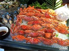 -广州花园酒店-凌璇阁360度高空海鲜自助餐CAROUSEL