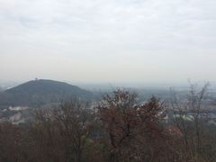 -上海佘山国家森林公园西佘山园