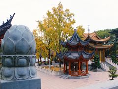 -上海东林寺(金山区)