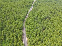-草原天路(张北县)