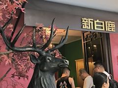 -新白鹿餐厅(银泰西湖文化广场店)