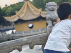 -普陀山风景名胜区-法雨禅寺