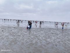 -奉贤海滩