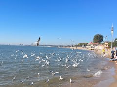 -老虎石海上公园