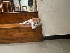 -初甜·舒芙蕾·韩式雪花冰(流塘店)