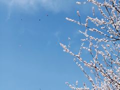 -太阳宫公园