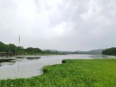 -御道口草原森林风景区