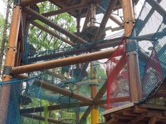 -黄海国家森林公园