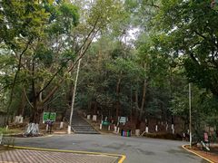 -分塔山省级森林公园