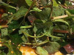 -鸡毛店·川菜(双楠店)