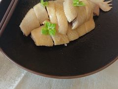 -南海渔村·空中一号