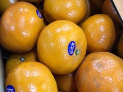 -沈阳市八家子水果批发市场