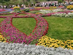 -深圳仙湖植物园