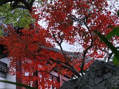 -豫园