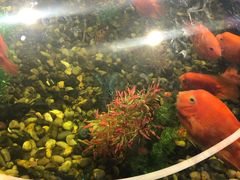 -地铁商城(北方大厦店)