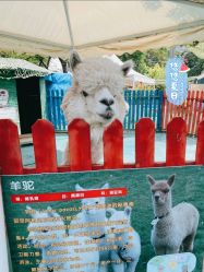 -萌宠亲子动物乐园(槐房万达店)