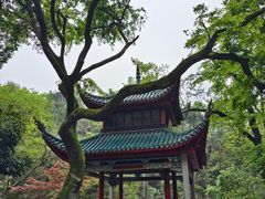 -岳麓山风景名胜区