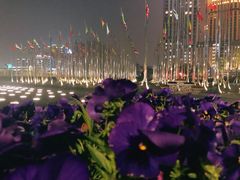 -南京眼步行桥
