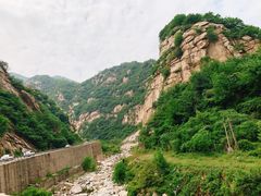 -王顺山国家森林公园