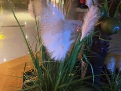 -万达影城(常熟IMAX店)