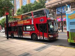 -BUS TOUR观光巴士