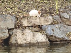 -肯德基(丰管路店)