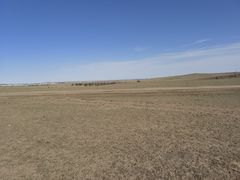 -希拉穆仁草原