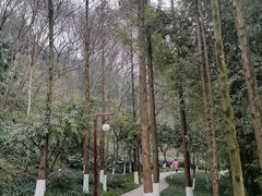 -重庆彩云湖湿地公园