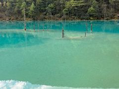 -玉龙雪山游客服务中心