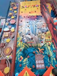 -卡通尼·Safari非洲探索乐园·生日会(金桥国际商业广场店)