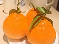 -龙森园火锅(琴台路店)