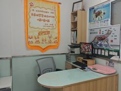 -宠福鑫康馨动物医院·骨科·眼科