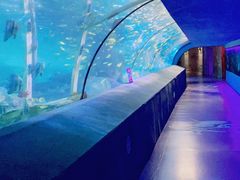 -太平洋海底世界