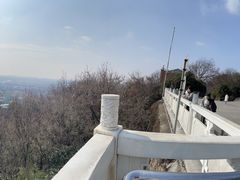 -上海佘山国家森林公园天马山园