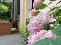 -也枫·小黄楼(南山路旗舰店)