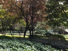 环境-咖啡厅自助餐厅(贵阳中天凯悦酒店)