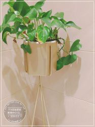 -F.N冻龄皮肤管理中心