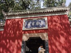 -子昂故里文化旅游区