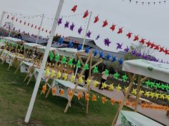 -西山漾湿地公园