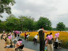 -海珠湖公园