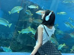 -合肥海洋世界
