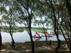 -洪湖生态旅游区