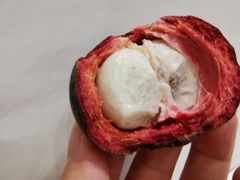 -鲜力达果品批发直销(汇金店)