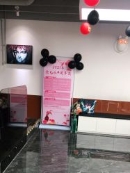 -查克拉造型