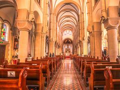 -上海佘山国家森林公园西佘山园