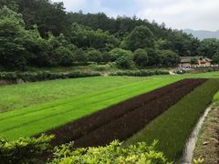 -韶山毛泽东同志故居