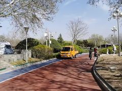 -滨河世纪广场公园