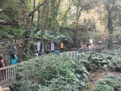 -桂林古东瀑布景区