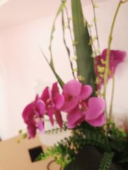 点击看大图 -薇兰专业脱毛连锁机构