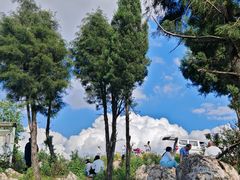 -长虫山生态公园风景林